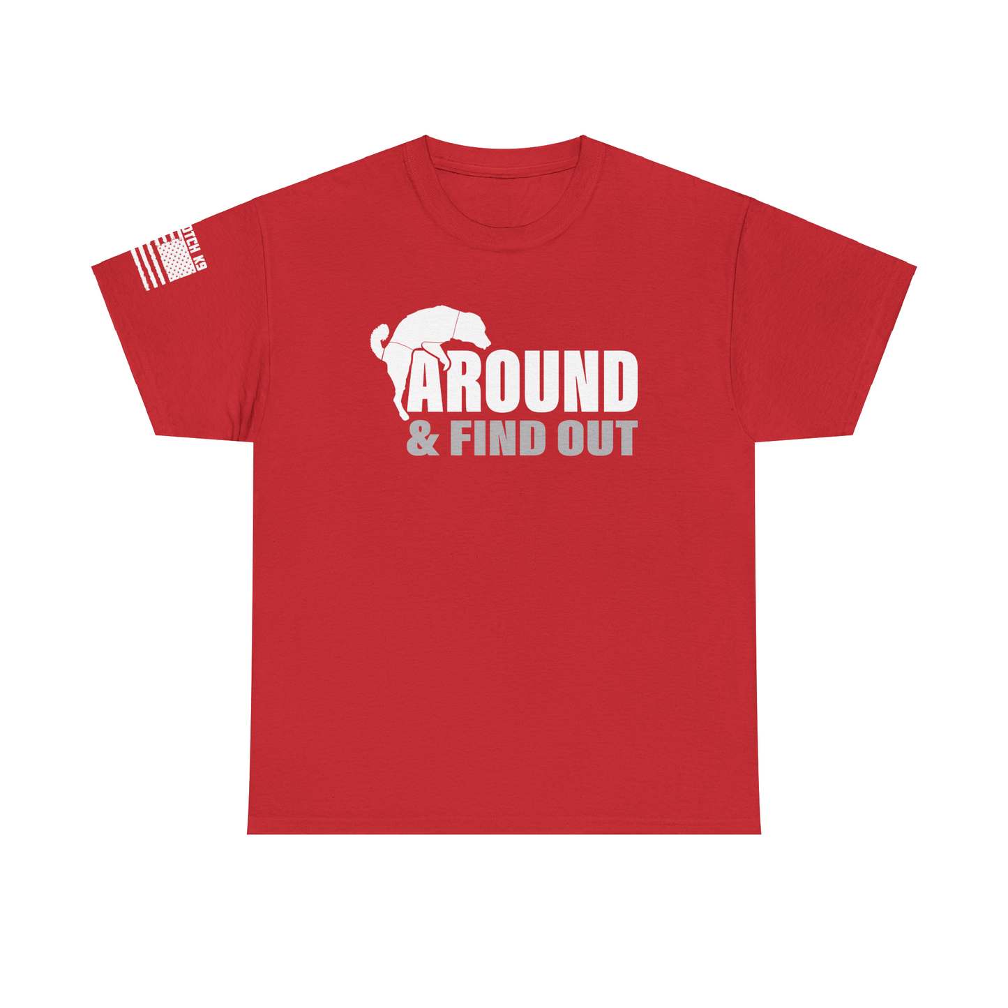 F Around and Find Out T-Shirt